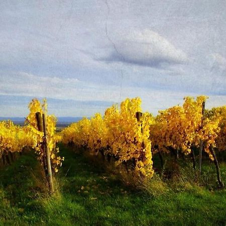 Au Petit Nid De Seebach Екстериор снимка